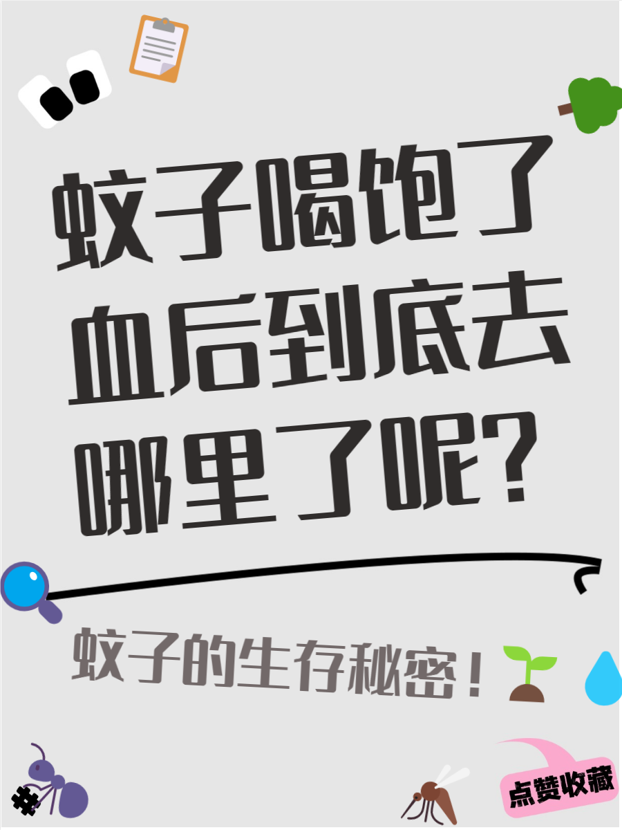 蚊子为什么吸血后有包为什么在线