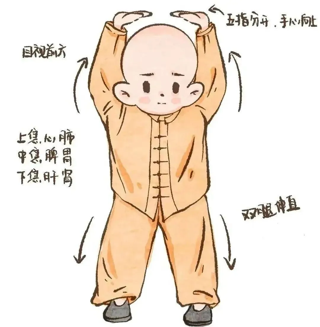 自古以来,中医就有很多动作看似简单,却蕴含疏通经络,调和气血,调理