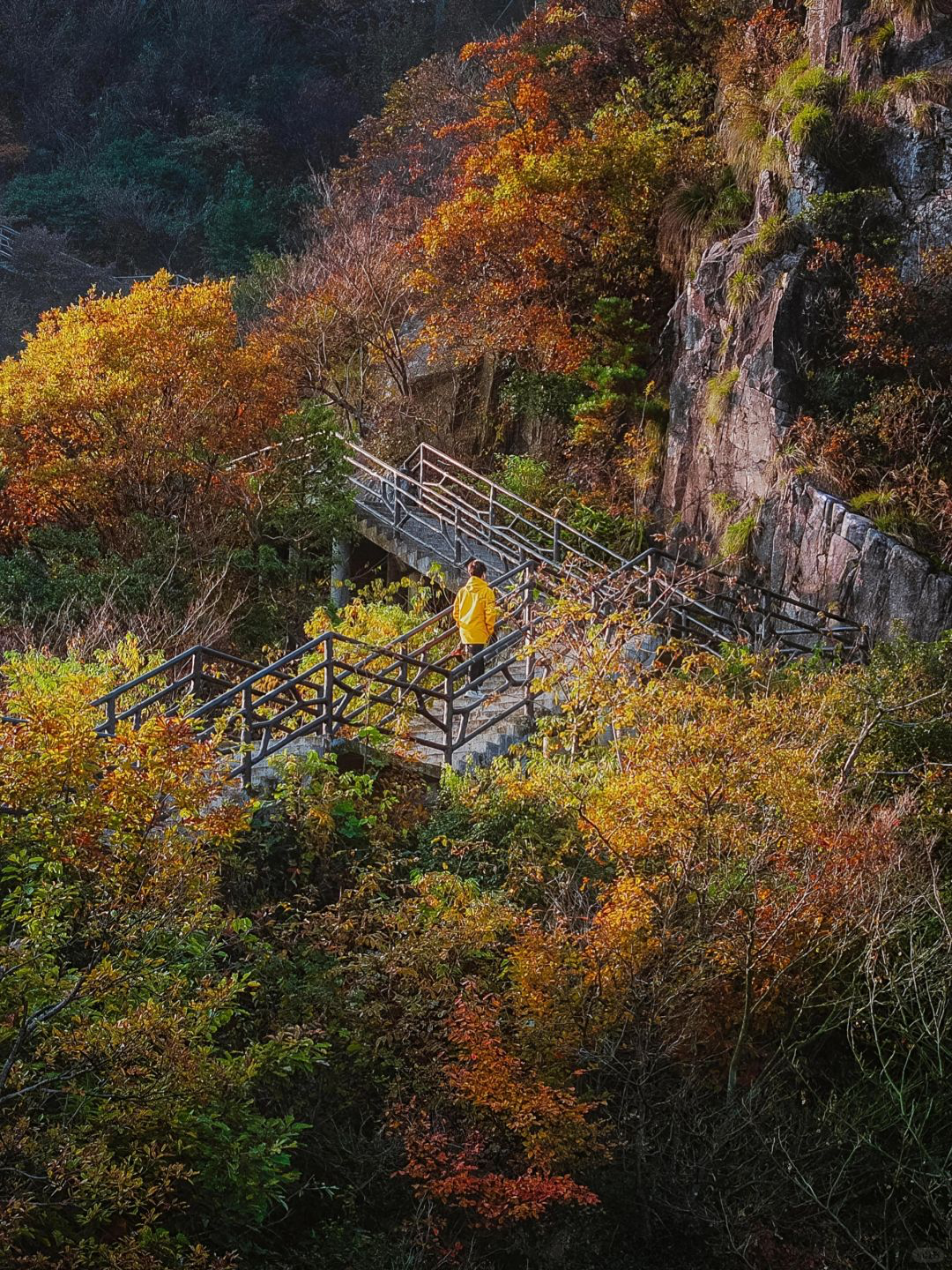 安吉七彩山地景区图片