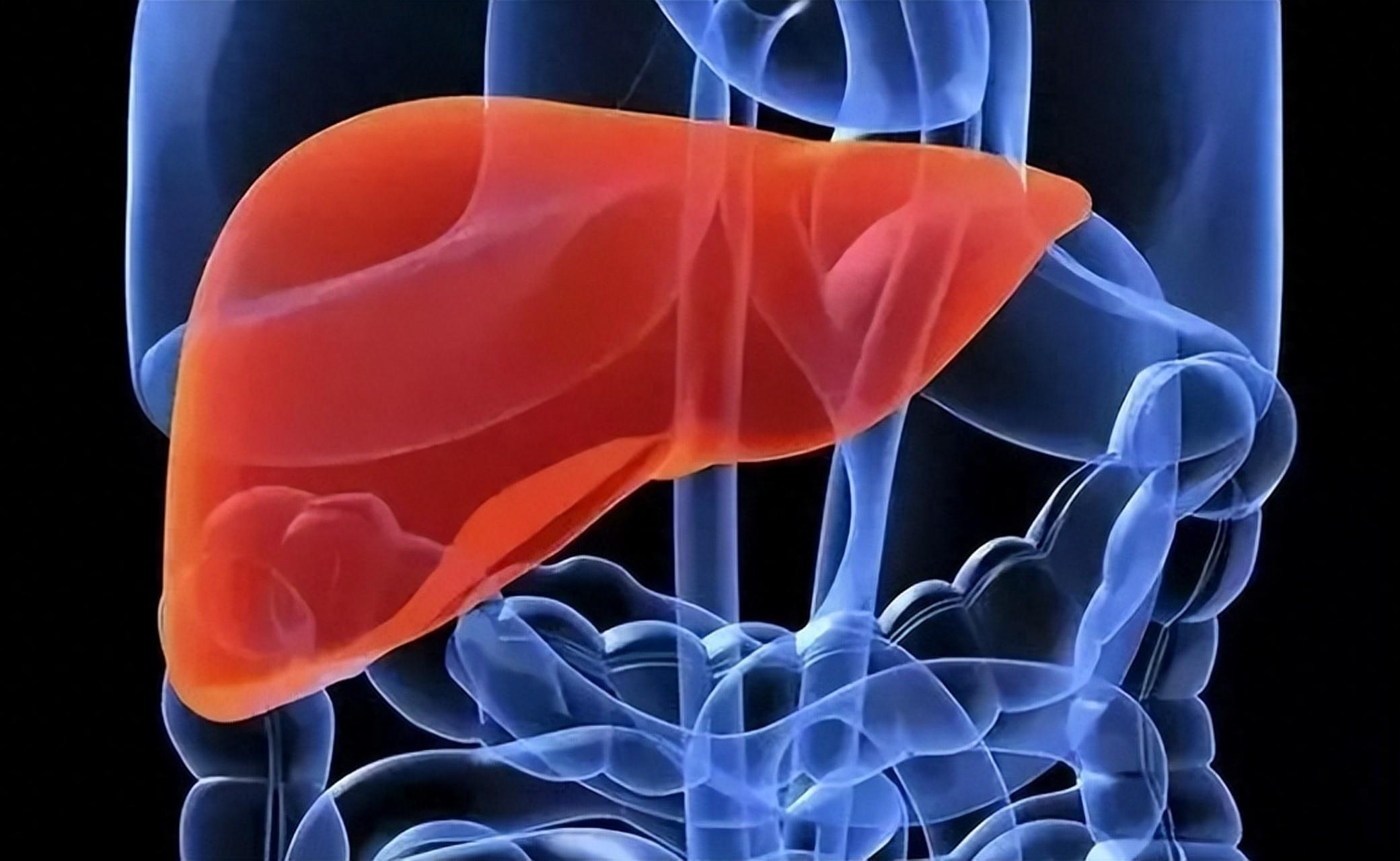 Pramlintide purchase | Shaanxi BLOOM Tech Co., Ltd Pramlintide purchase | Shaanxi BLOOM Tech Co., Ltd