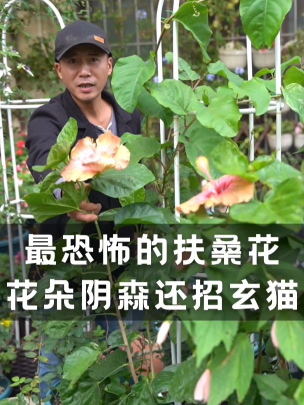 世界上最恐怖的花图片