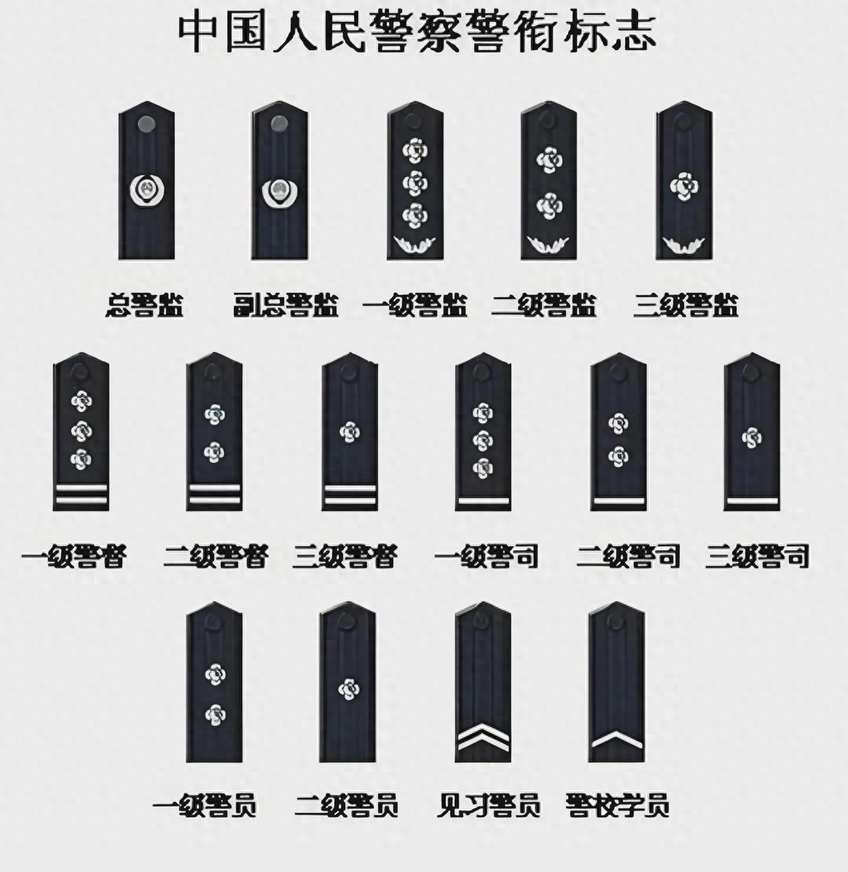 说出来你可能不信,有的派出所司占缯录侗 特警肩章级别图解特警警衔