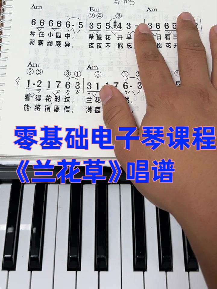 零基础电子琴课程《兰花草》唱谱