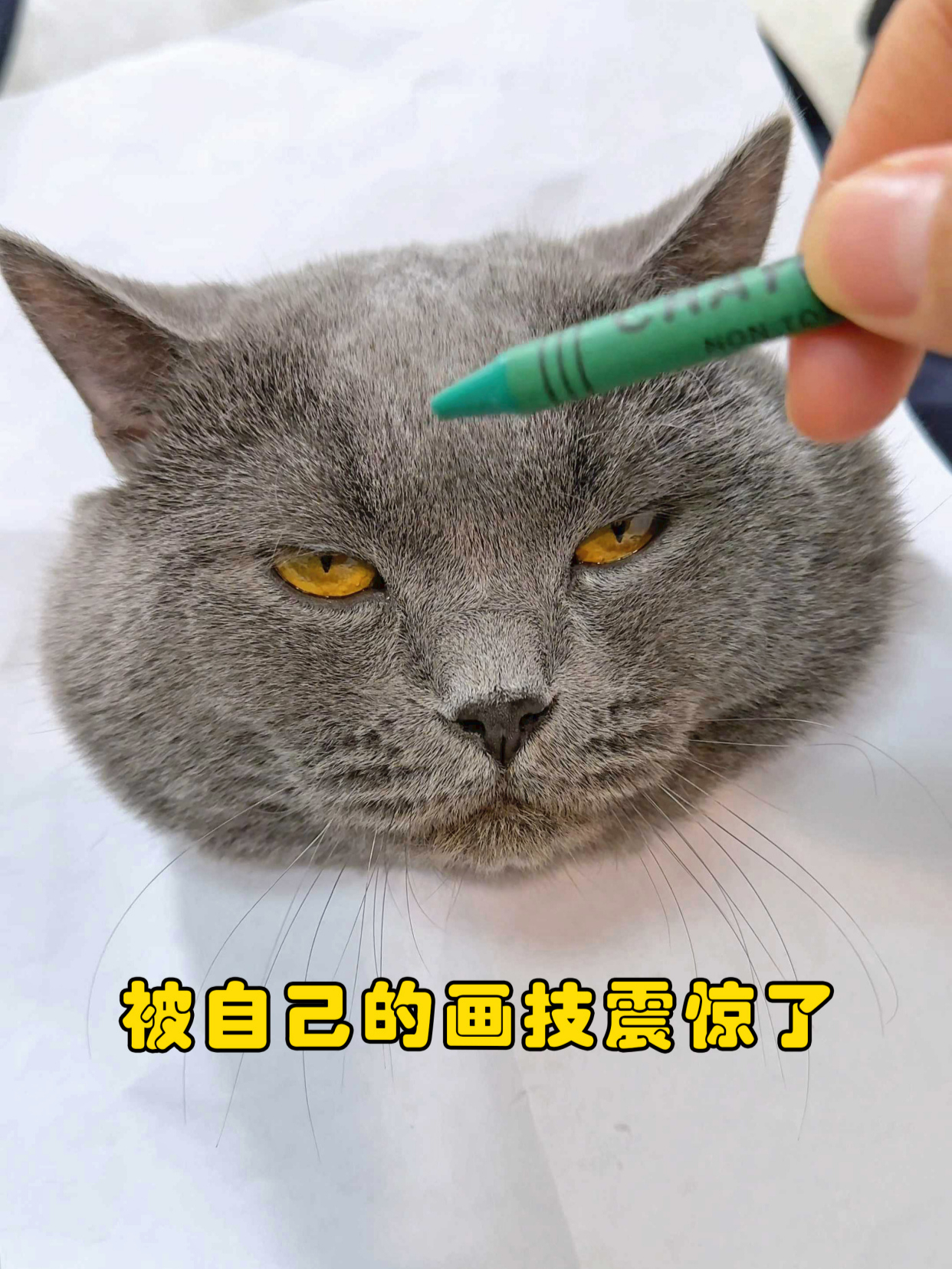 猫画法夸张法图片