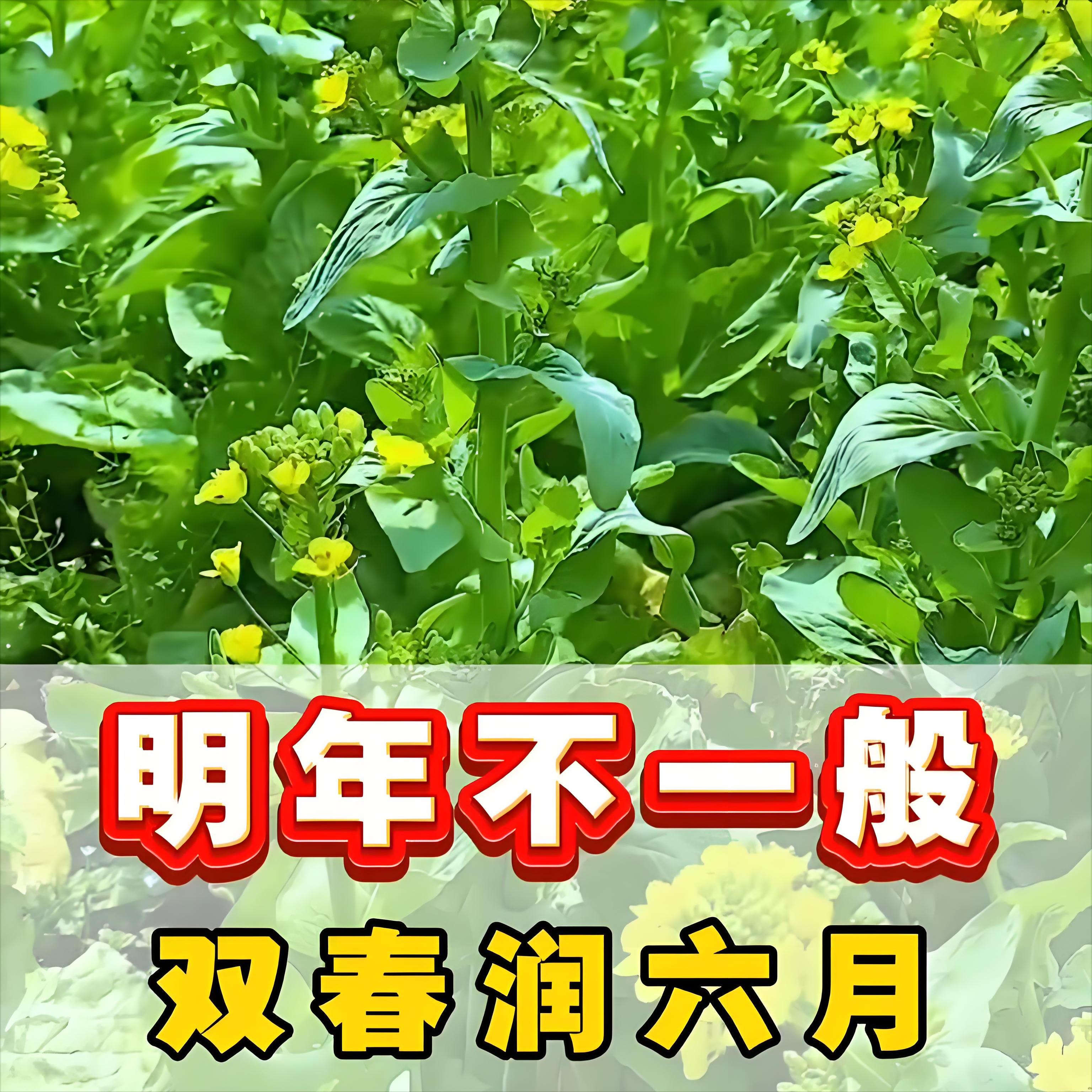 2025年润六月生肖运势(2026年闰月是几月)