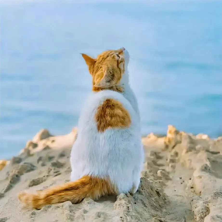 你知道吗,每次试错,其实都是我们悄悄接近正确答案的一小步