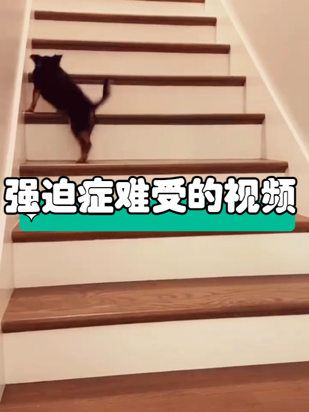 盘点强迫症难受的日常行为!