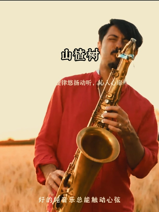 超好听的萨克斯轻音乐《山楂树》旋律美妙绝伦,听了让人心旷神怡