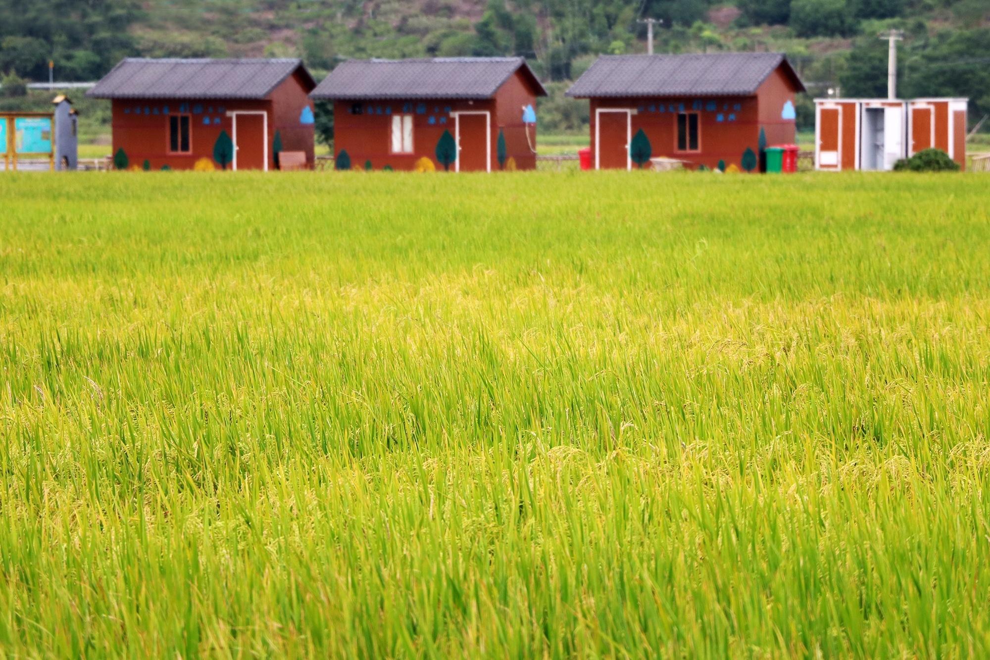 高明越野车体验基地图片