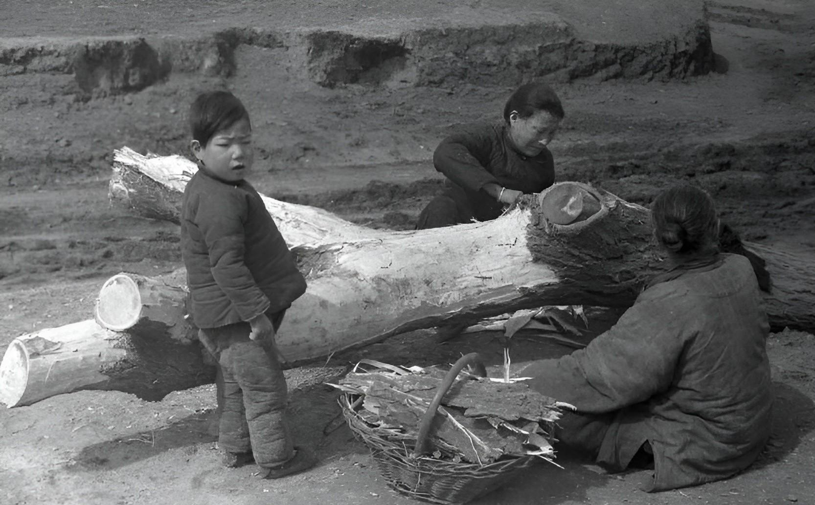 1960年大饥荒图片图片