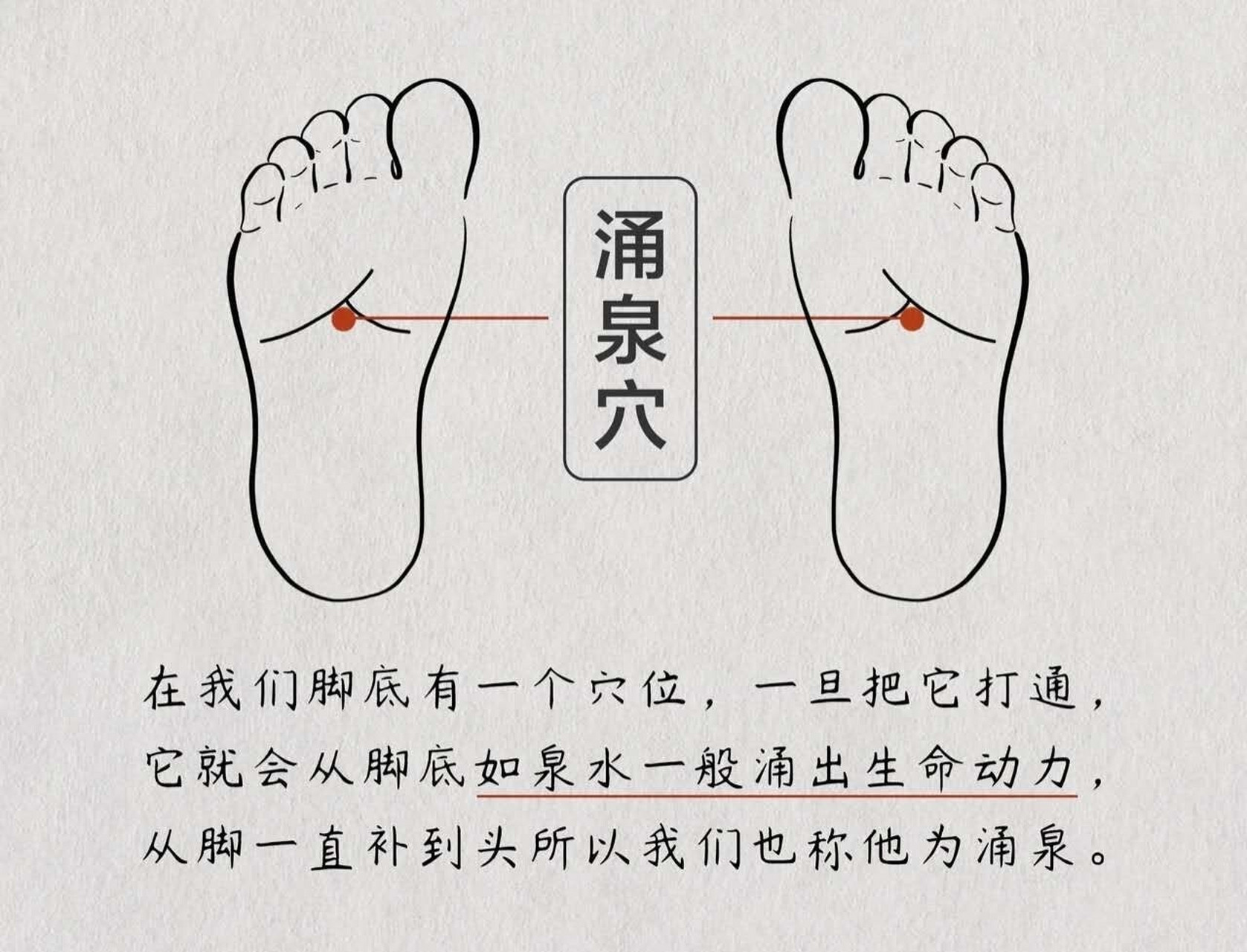 常揉5穴,身体好!中医养生小秘诀,让你健康每一天