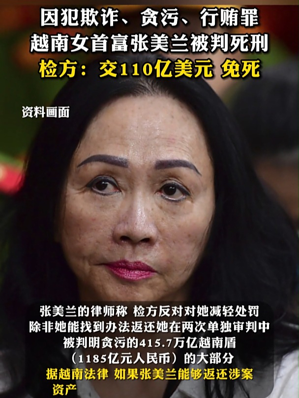 越南女首富交110亿美元可免死!