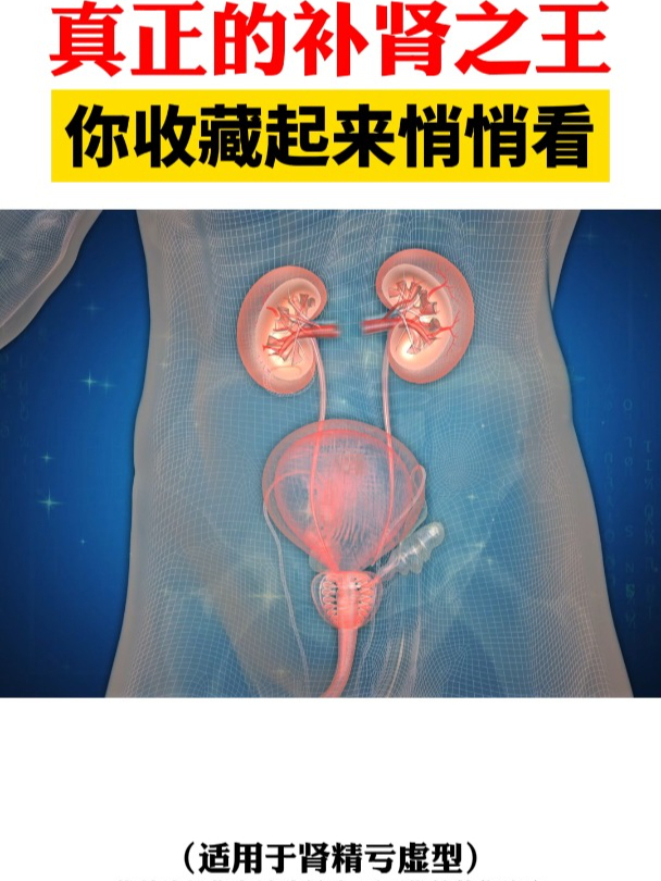 女人补肾之王第一名是什么(女人补肾的药材有哪几种最好了)