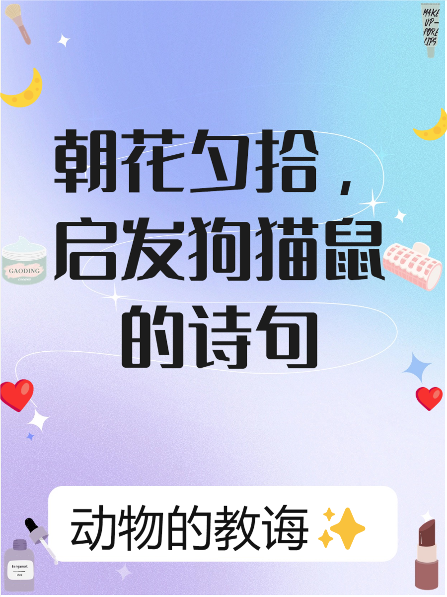 狗猫鼠中的狗代表什么