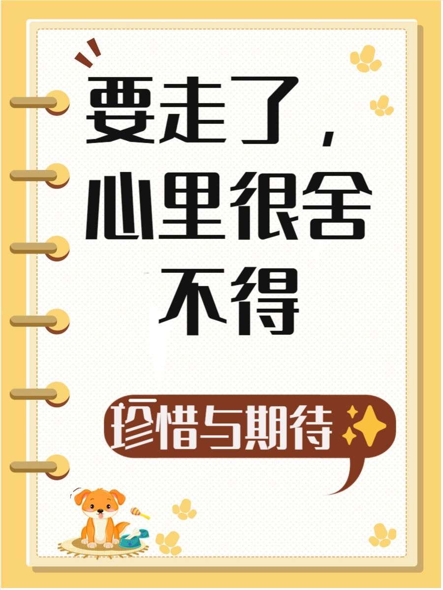 要走了有点舍不得的句子