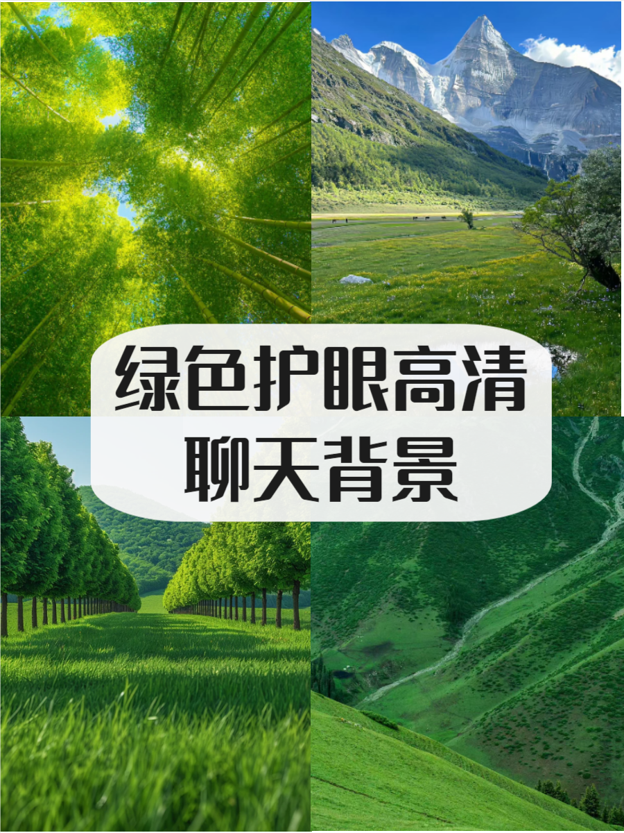 聊天背景绿色护眼高清图片