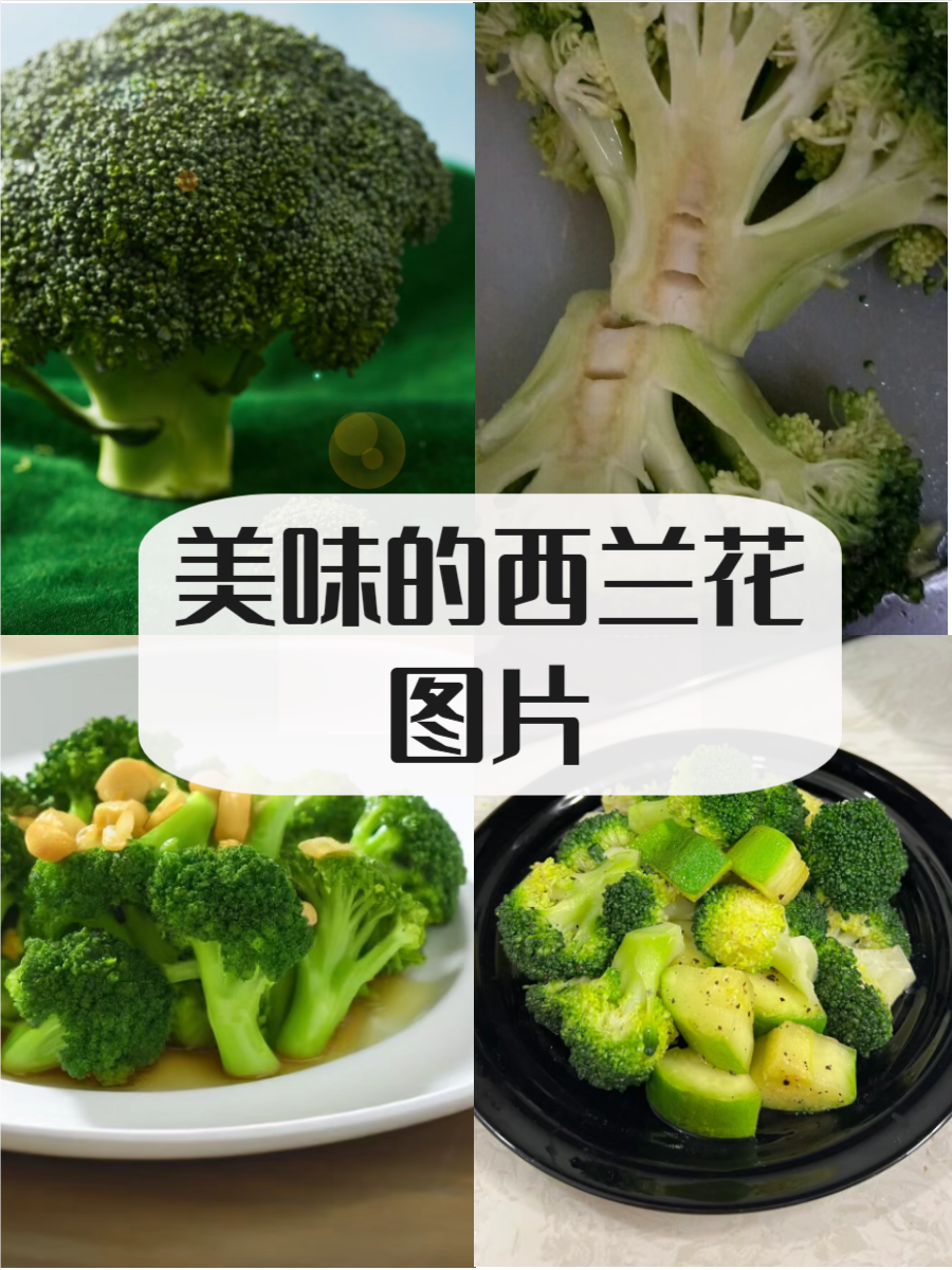 西兰花图片  西兰花是一种营养丰富的绿色蔬菜,富含维生素和矿物质,是