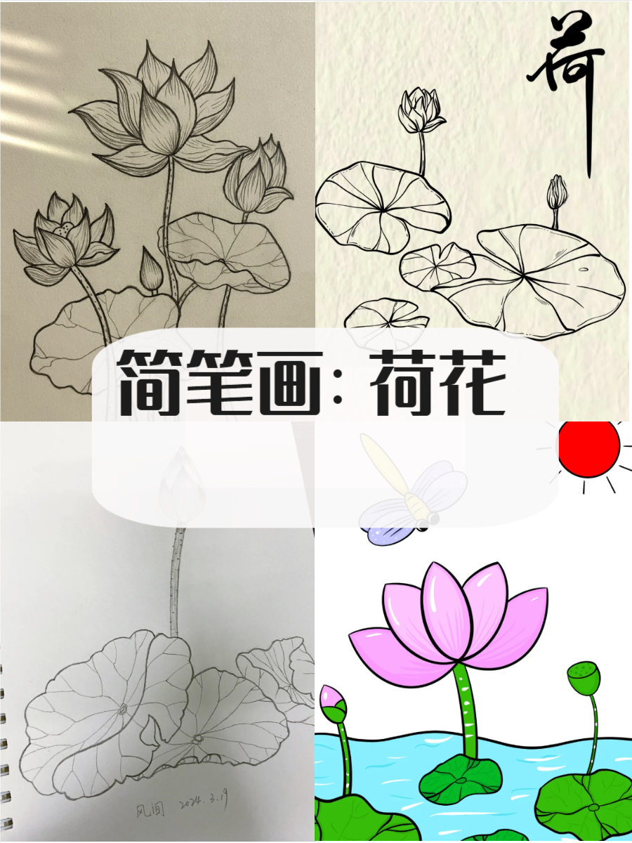 荷花的简笔画,快来了解一下吧