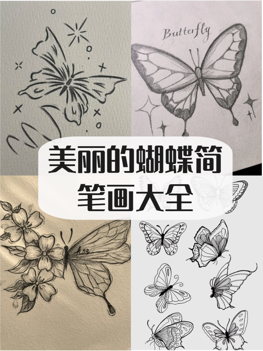 蝴蝶简笔画图片大全