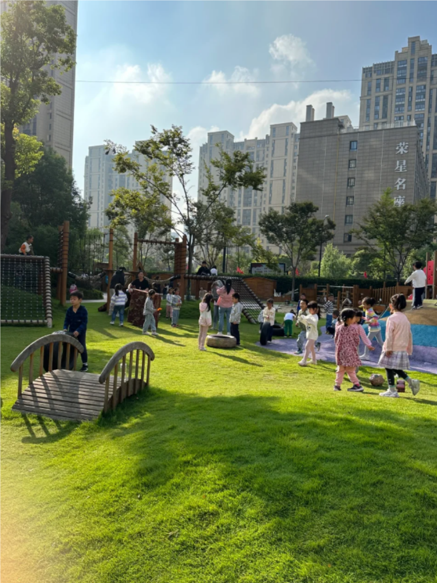 午后阳光洒满大地,美丽的画面在我们眼前展开,让人