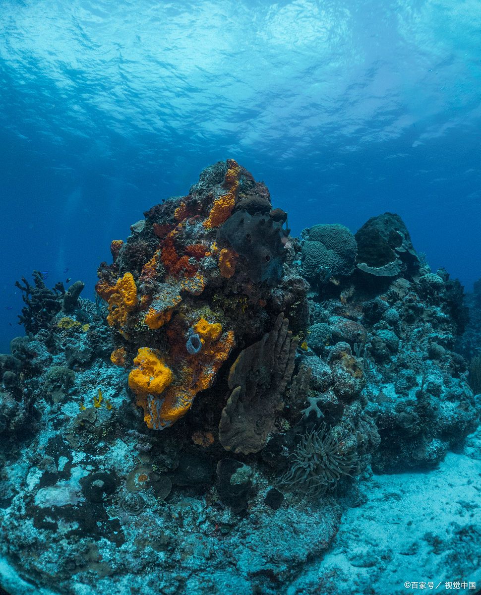 生态学专业,知名一本大学,毕业6年,同寝室5人发展差距有多大?