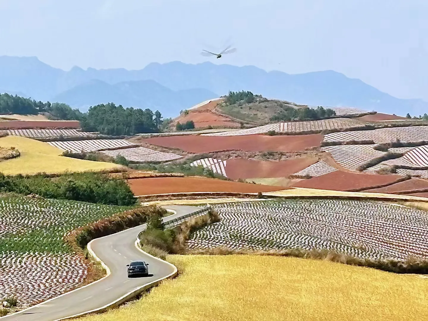 赣南大地 的希望 农业转型相关图片1