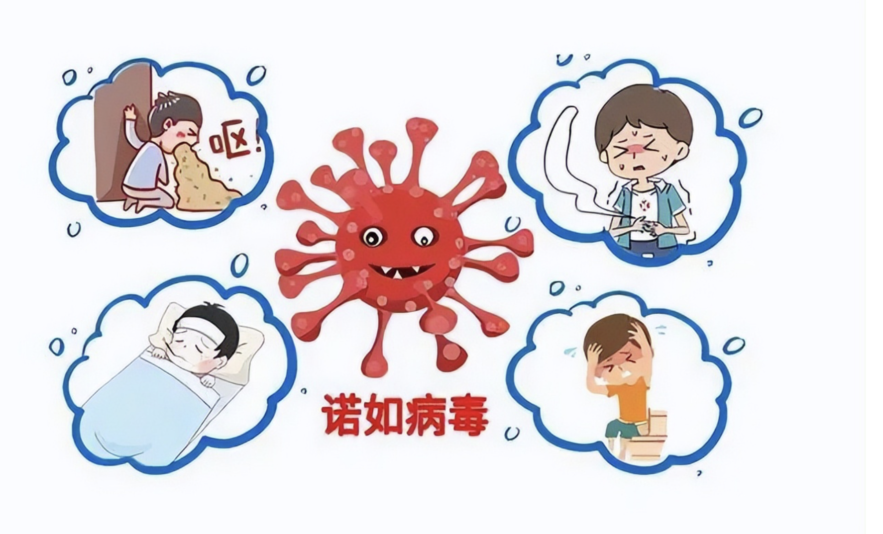 诺如病毒高发期如何预防感染#