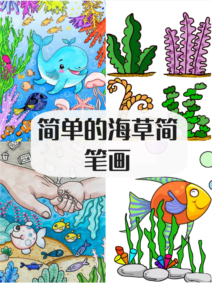 海草简笔画带颜色图片