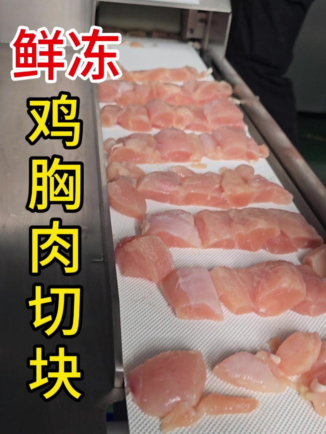 解冻后的新鲜鸡胸肉切5公分肉块,鲜切带筋膜不连刀