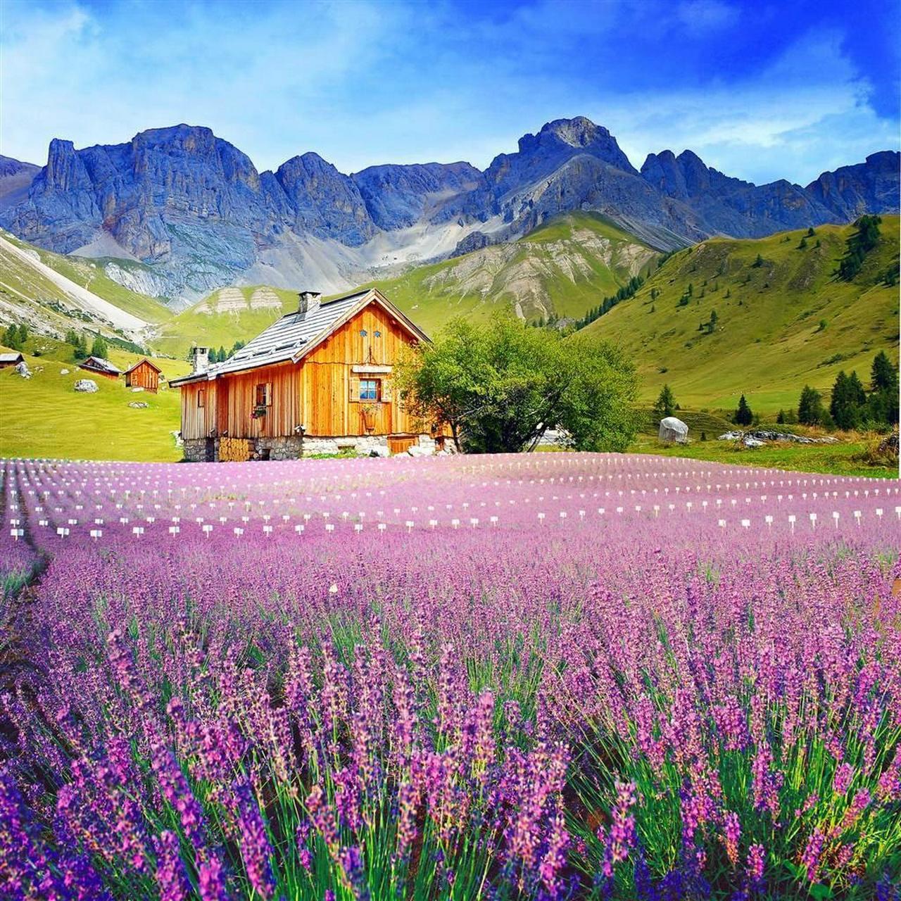 走向未知的边境,迎接灿烂的新生