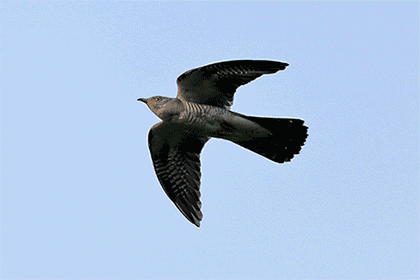 420_280gif 动态图 动图