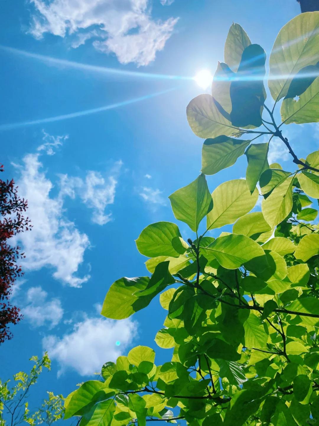 中年男人背叛,大多是"渴望"得到这4样东西,很现实