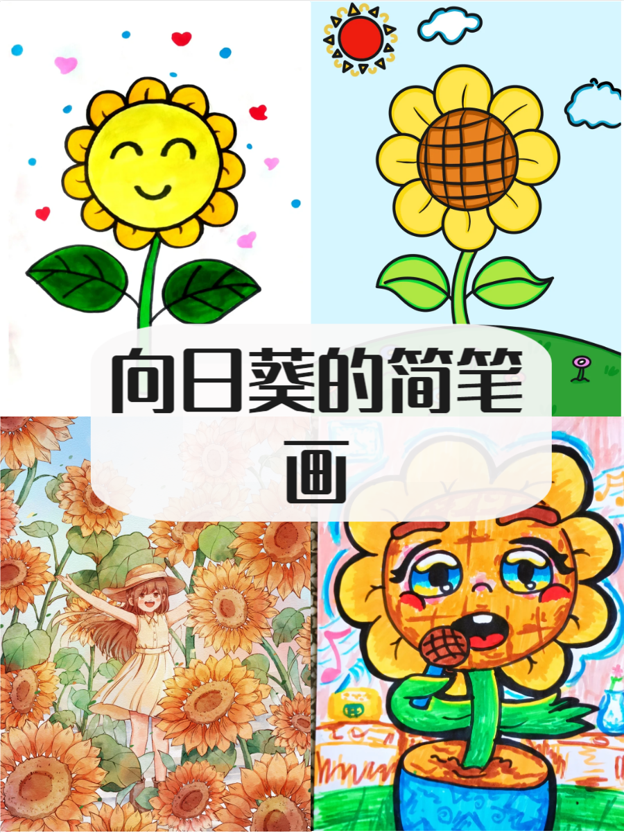 简笔画  向日葵是夏季的象征,它们的明亮色彩和蓬勃生长给人带来阳光