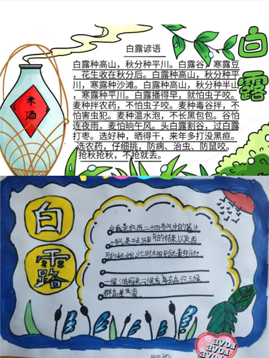 白露手抄报  白露是二十四节气之一,象征着秋季的正式到来.