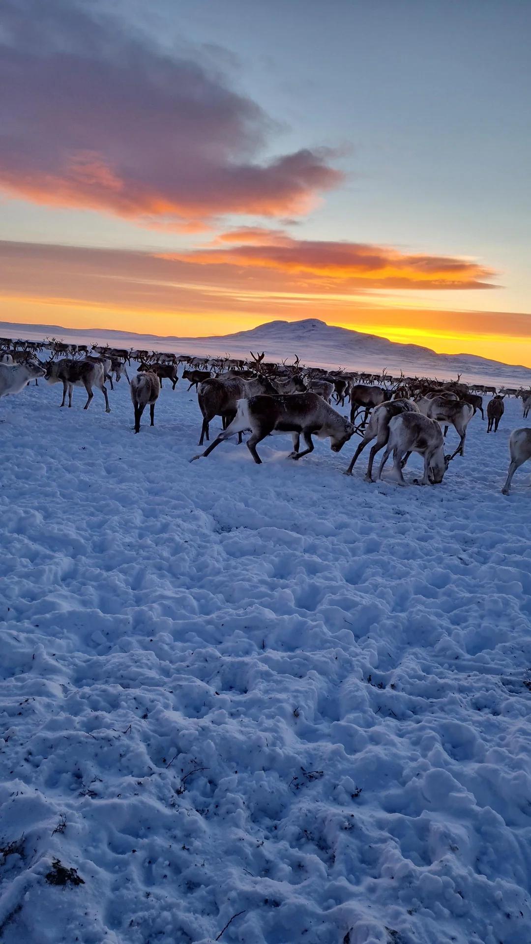 23张罕见动物图,带你走进大自然的美妙时刻
