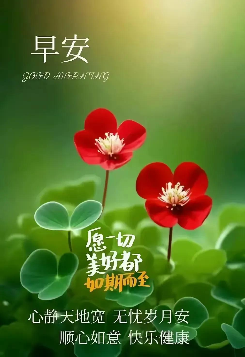 12月8日-好看的早上好精美问候语图片,今日早上好唯美温馨祝福语
