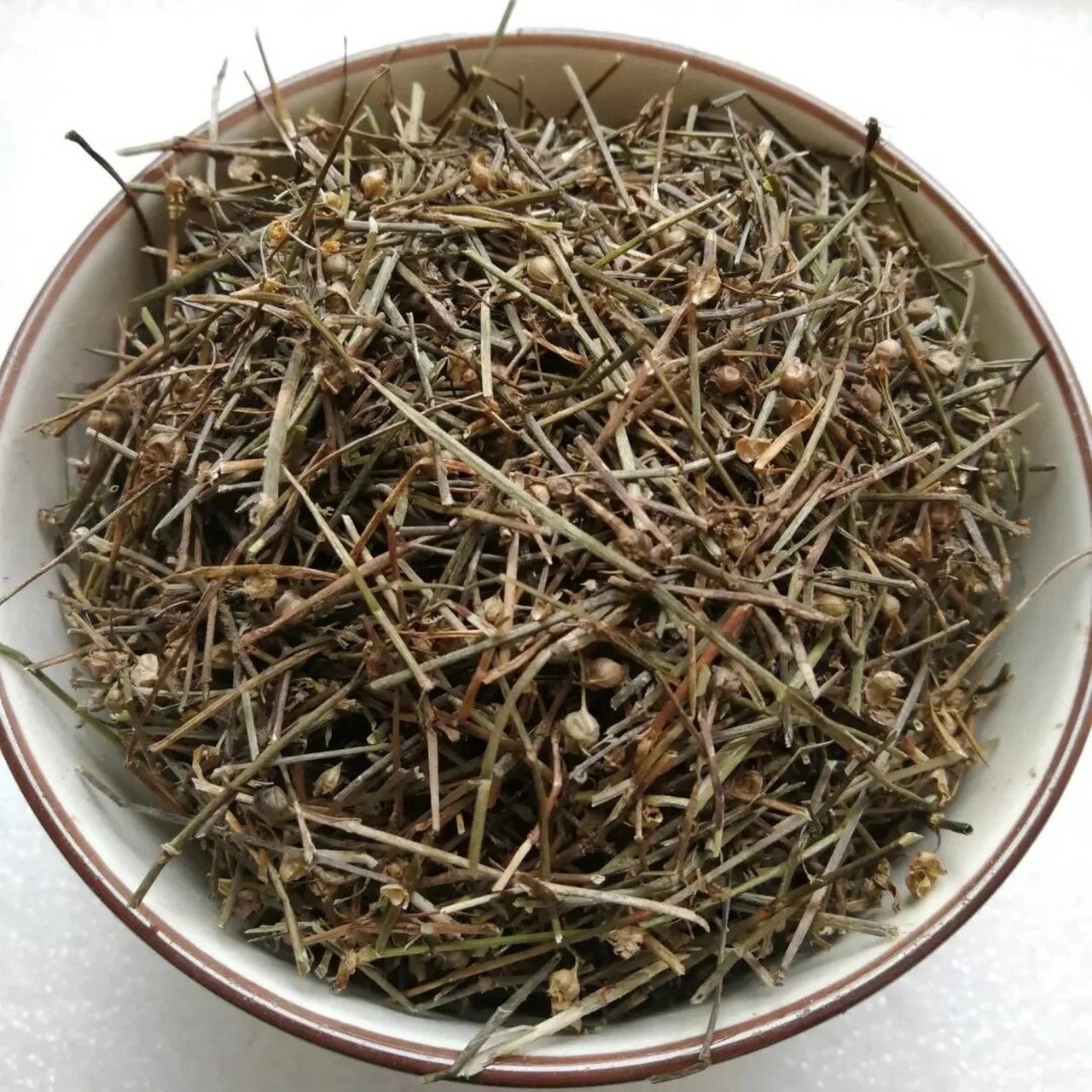 与大家深入探白花蛇舌草百花蛇舌草10大抗肿瘤中草药白花蛇舌草 介绍