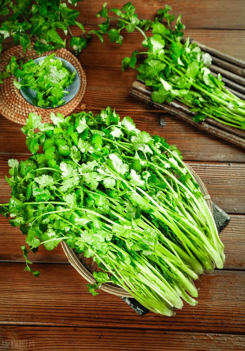 第一次是吃香菜过敏