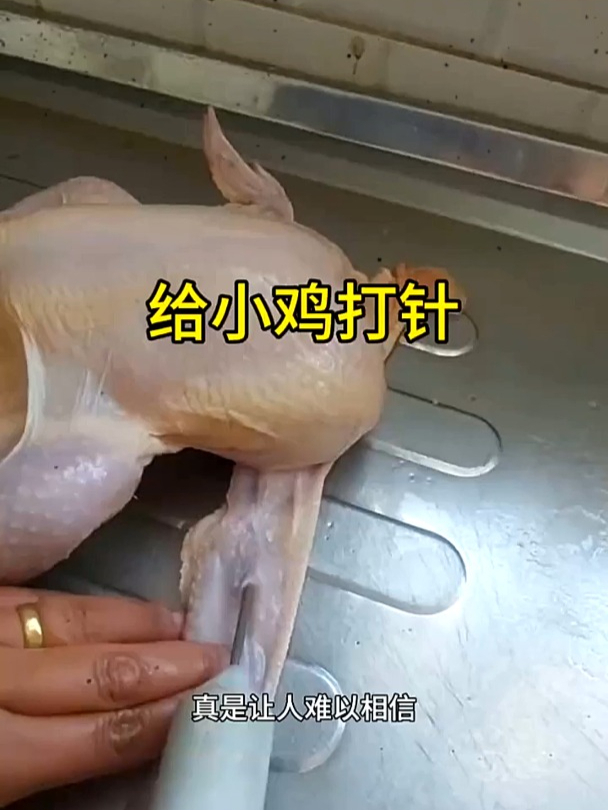 这是给鸡肉里注射的什么啊