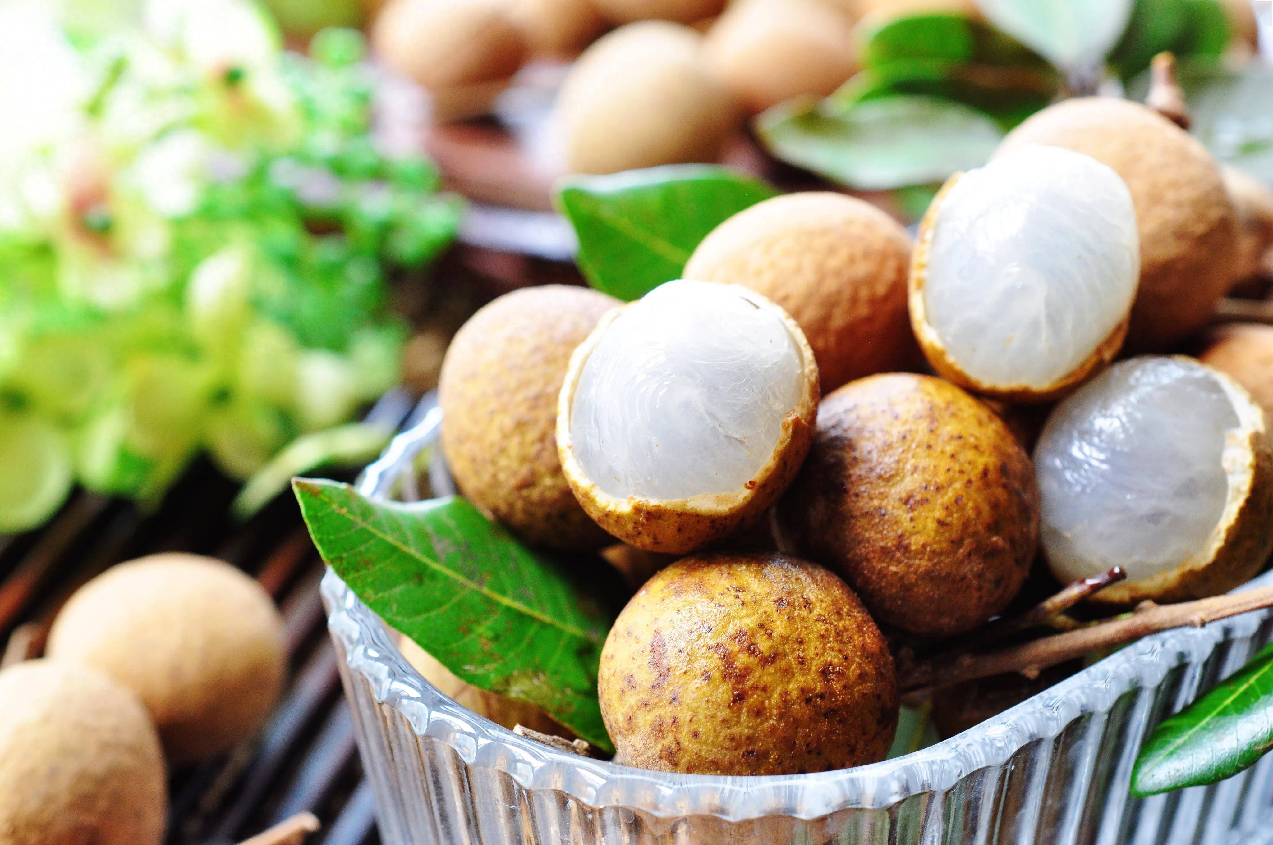 桂圆用得好,疾病都赶跑,中医教你桂圆5大用法,补足气血不生病