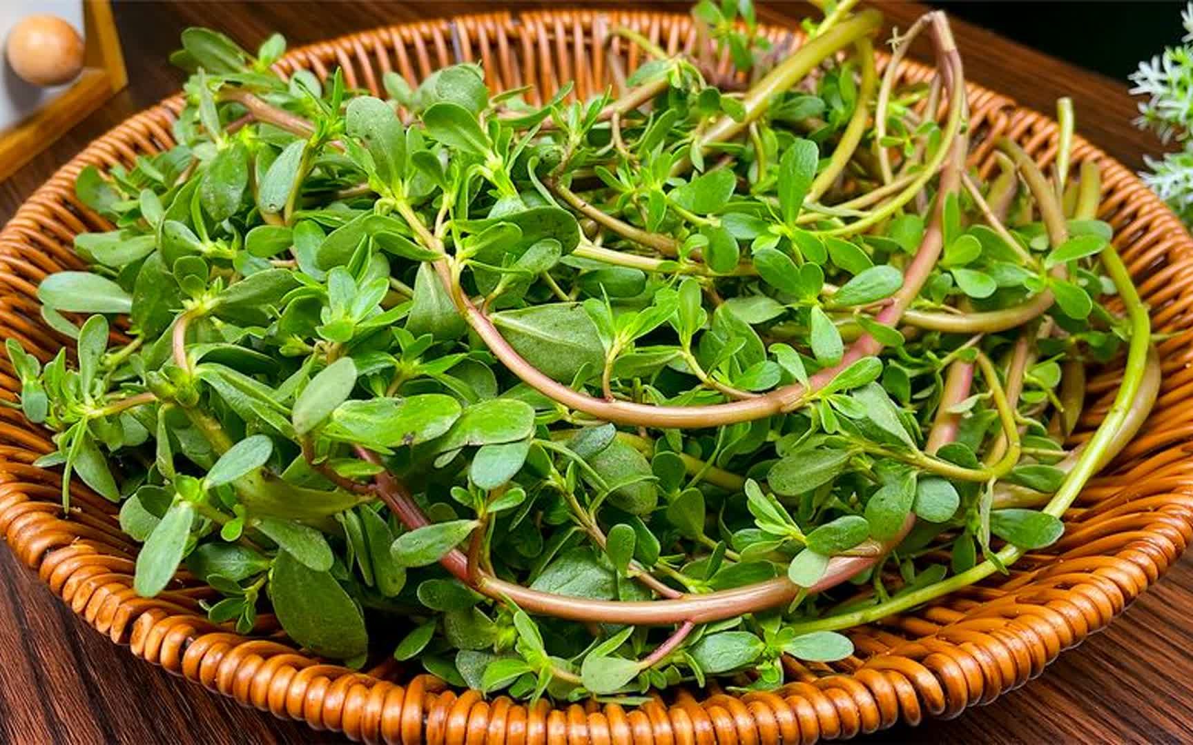 农村1种野草的种子,转化皮里膜外之痰,消除脂肪瘤很轻松!