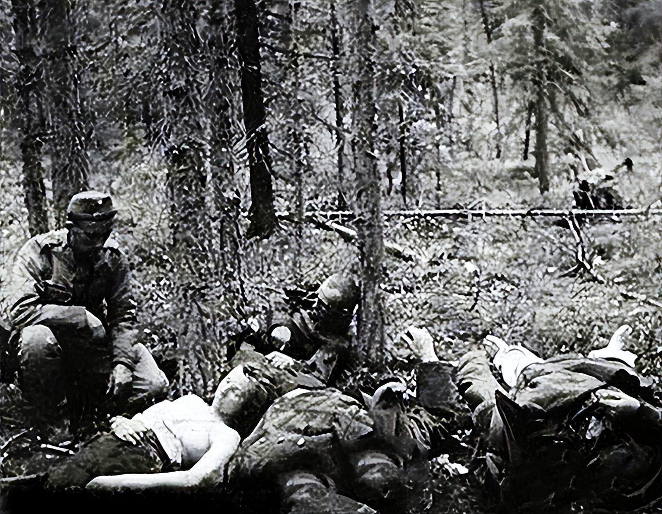 人死后去了哪里?一个女兵在尸体堆里,悟透了死亡的真理