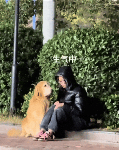 有的狗子是从来都不内耗啊,转身离开,说走就走