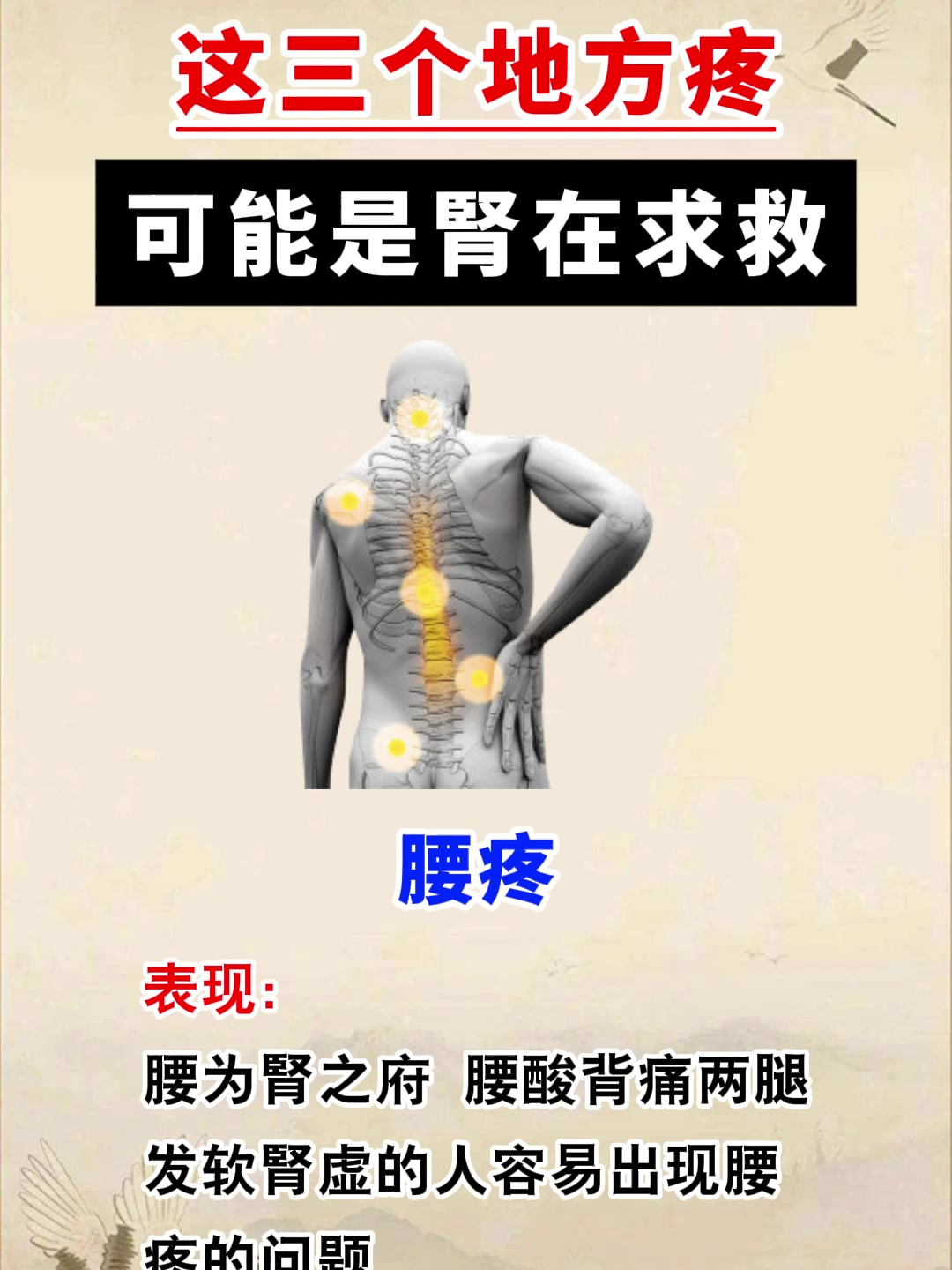 这三个地方疼,可能是肾在求救