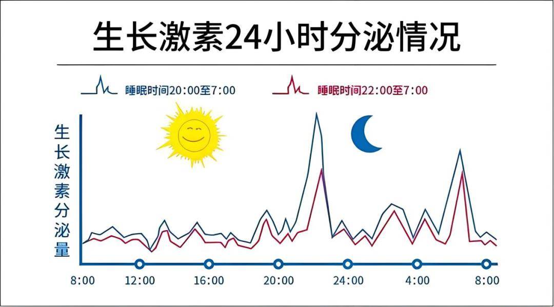 生长激素轴图片