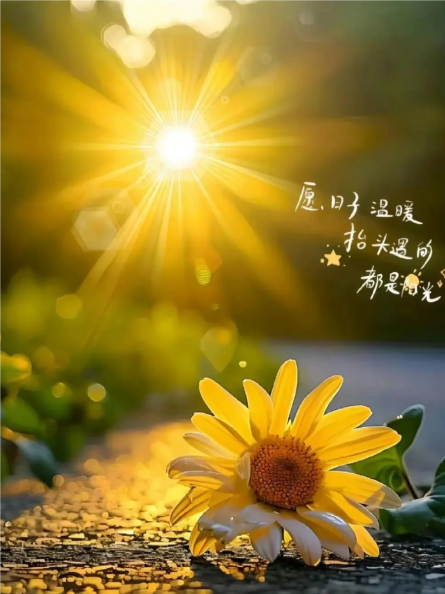 积极向上工作态度正能量(积极向上工作态度正能量文案)