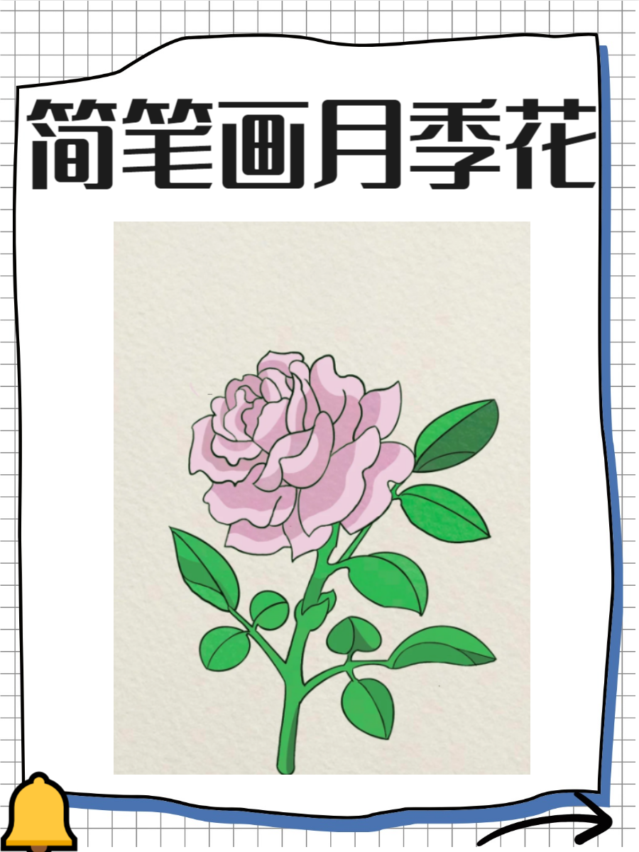 月季花简笔画,快来了解一下吧