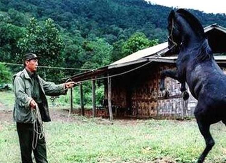 缅甸毒王坤沙:16岁灭掉对手全家,靠老婆发家,成名后却杀了岳父