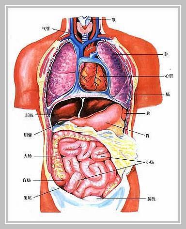经常左下腹疼痛或许有原因