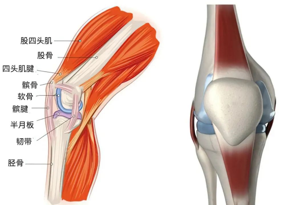 5个不经意的习惯,正在"侵蚀"你的关节,希望你一个个纠正